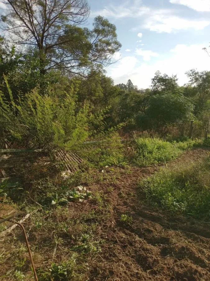 Imagem Sítio para Venda em Pelotas, Monte Bonito, 2 dormitórios, 1 banheiro, 1 vaga