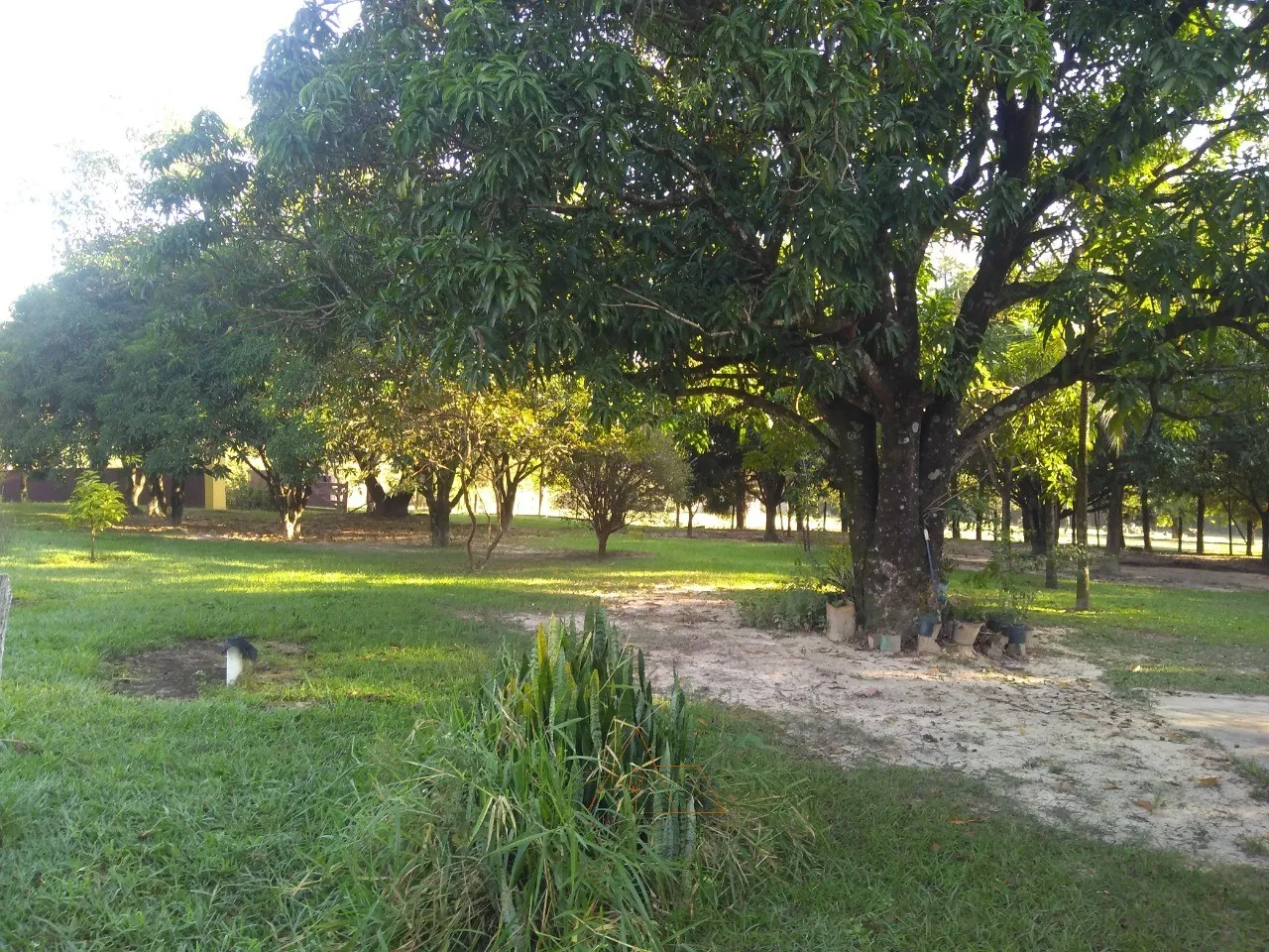 Imagem Sitio em Itu-SP: 3 quartos, 1 suíte, sala ampla, 3 banheiros, 23.000m² de área no Parque Nossa Senhora da Candelária
