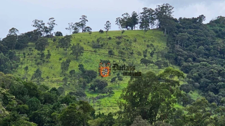 Imagem Área à venda, 291169 m² por R$ 23.000.000 - Portão - Atibaia/SP