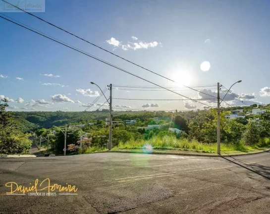 Imagem Lote com fundo e vista livre para a reserva na Travessa Orquídeas