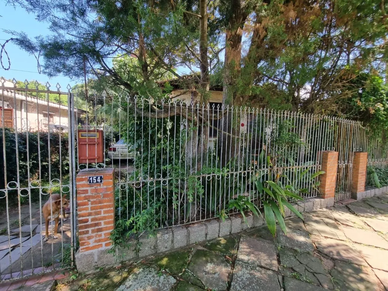 Imagem Terreno Plano 435m² Ipanema Proximo Guaíba