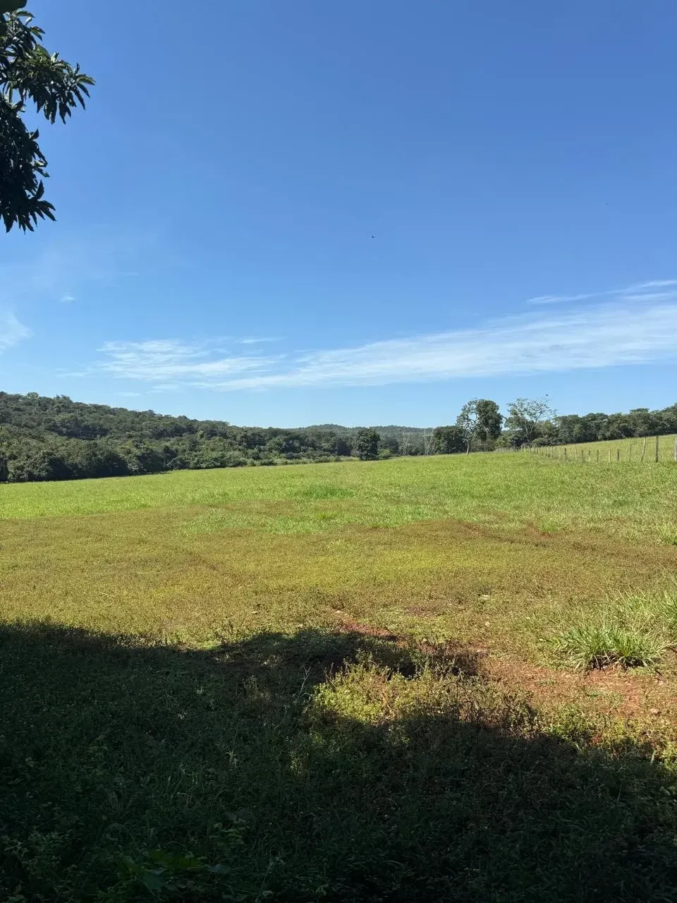 Imagem Fazenda à Venda, 28 Alq. GO em Área Rural de Itumbiara - Itumbiara