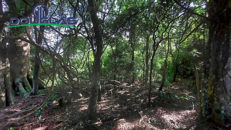 Imagem Chácara com 2 Quartos à Venda, 80 m² em Águas Claras - Viamão