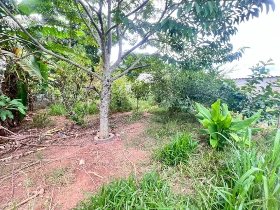 Imagem Sítio em Vasconcelos – Conforto e Tranquilidade Perto da Cidade