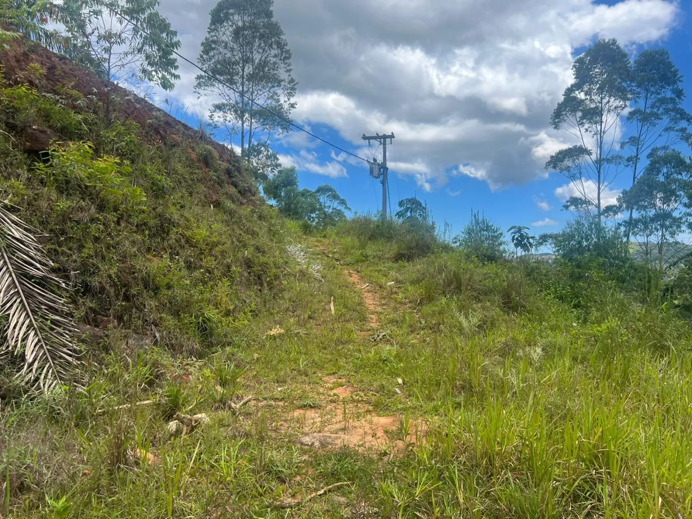 Imagem Terreno em Condomínio para Venda em Petrópolis / RJ no bairro Quarteirão Ingelheim