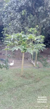 Imagem Ótima chácara na zona rural de itu em um condomínio fechado Itu/SP