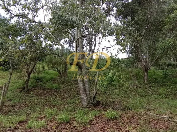 Imagem Terreno em Condomínio (Associação) Atibaia / Portão