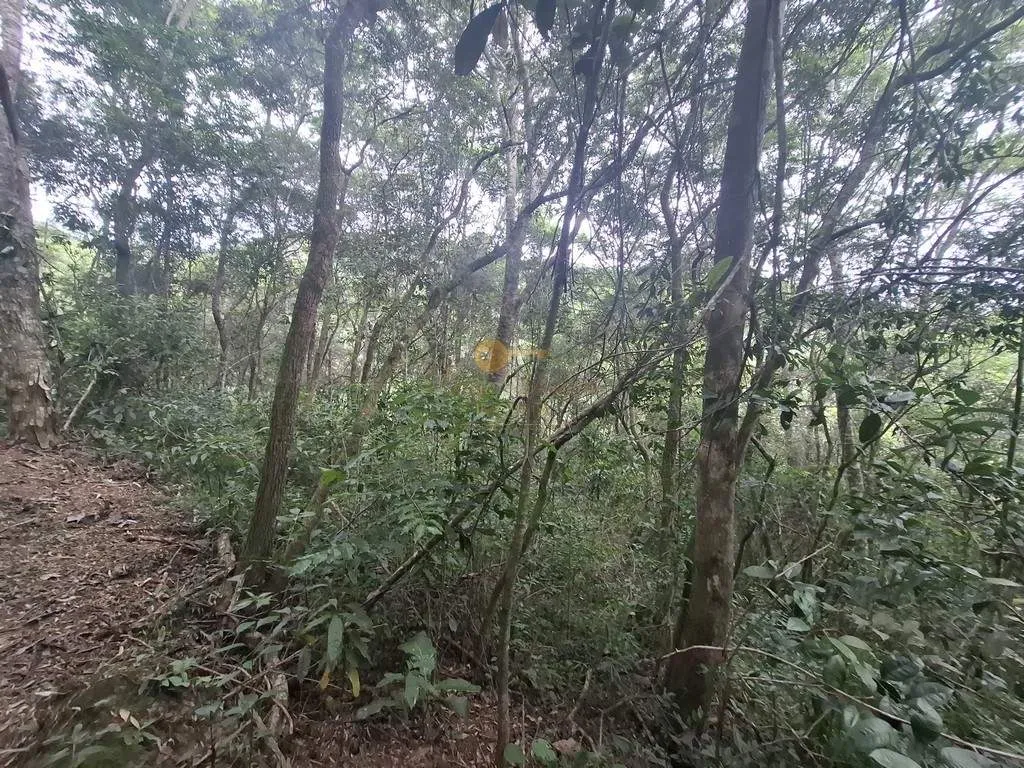 Imagem Terreno para Venda em Teresópolis / RJ no bairro Córrego das Pedras