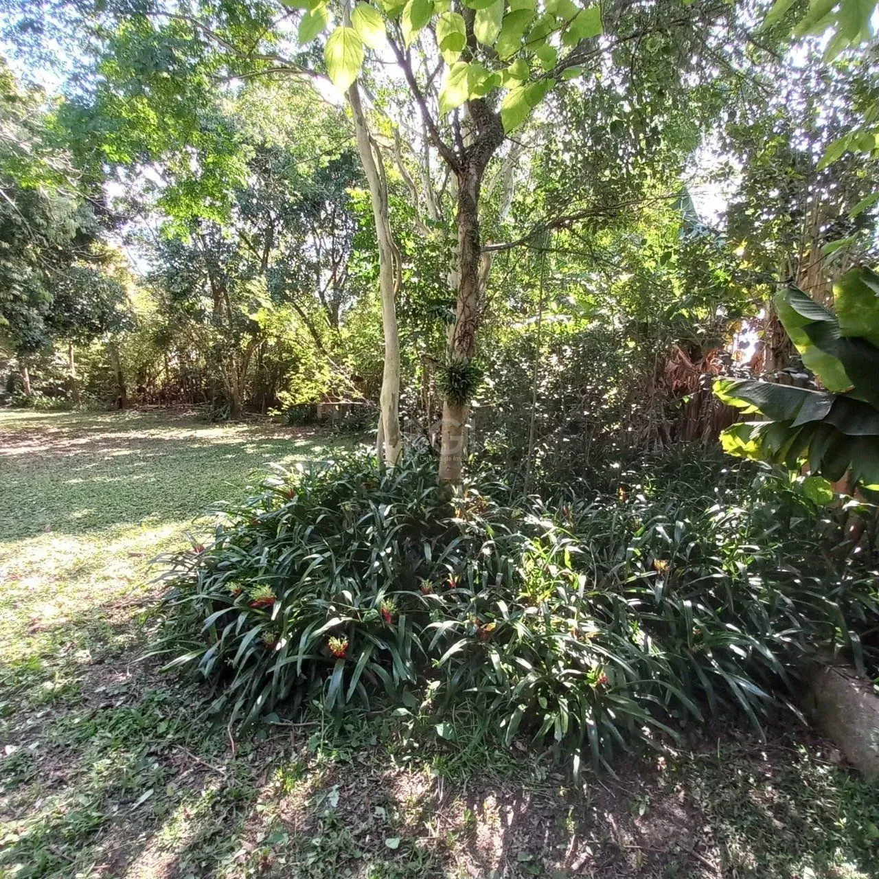 Imagem Terreno para Venda - 0m², 0 dormitórios, Belém Novo, Porto Alegre