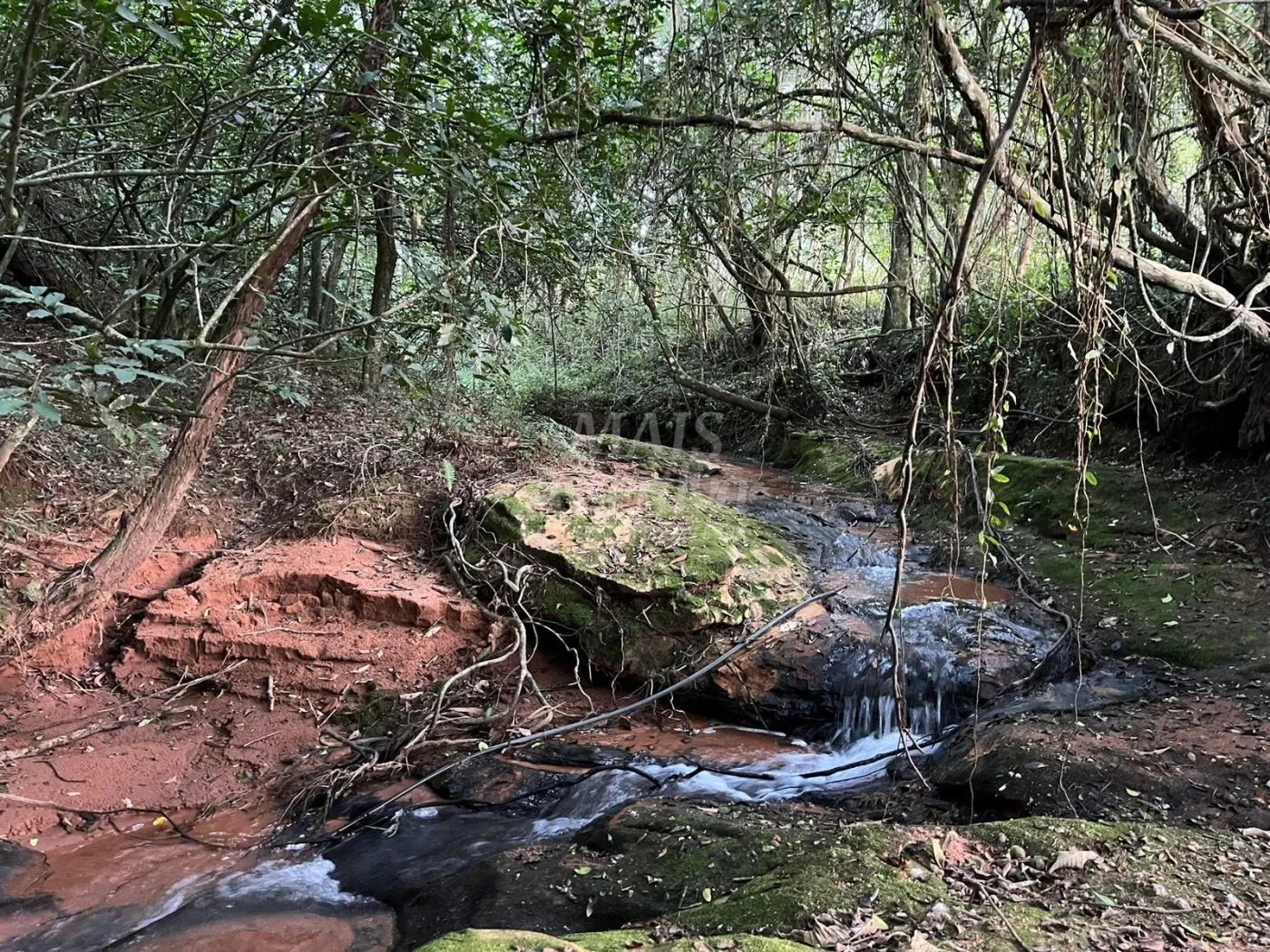 Imagem Chácara de 10 hectares para venda em Lomba Grande, Novo Hamburgo
