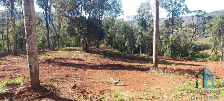 Imagem Área a venda 125 mil m², em ótima localização, próximo novo Autódromo Internacional Chapecó SC