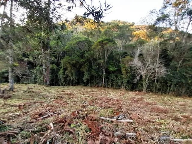 Foto do imóvel Chácara à venda 170000M², Paraibuna, Cunha - SP
