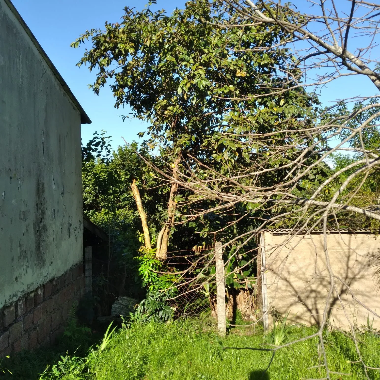 Imagem EXCELENTE TERRENO EM BELÉM VELHO