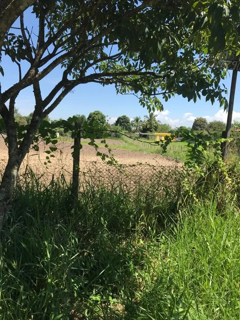 Terreno à venda 2000M², Pedro Leme, Roseira - SP