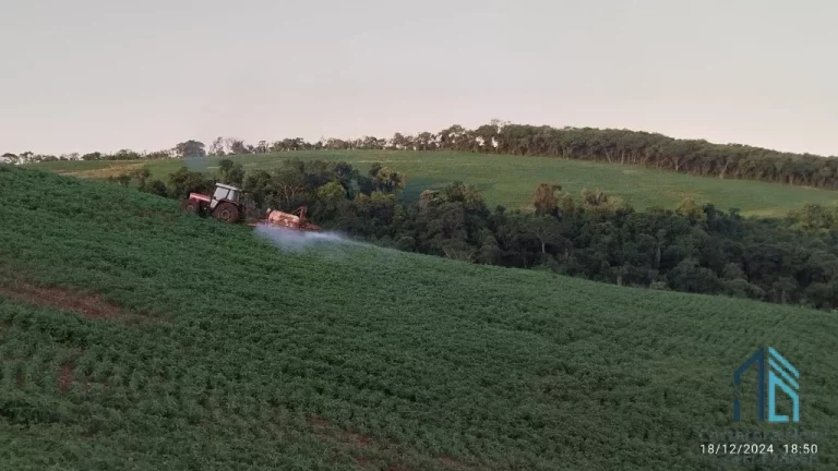 Imagem Fazenda com 57 alqueires (plantando 46) Solo roxo alta fertilidade, Engenheiro Beltrão PR