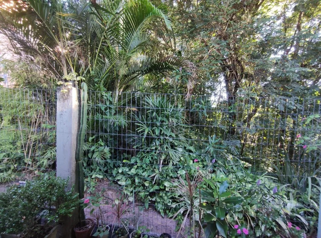 Imagem Casa Condomínio 2 dormitórios, vaga e infraestrutura, Bairro Lomba do Pinheiro