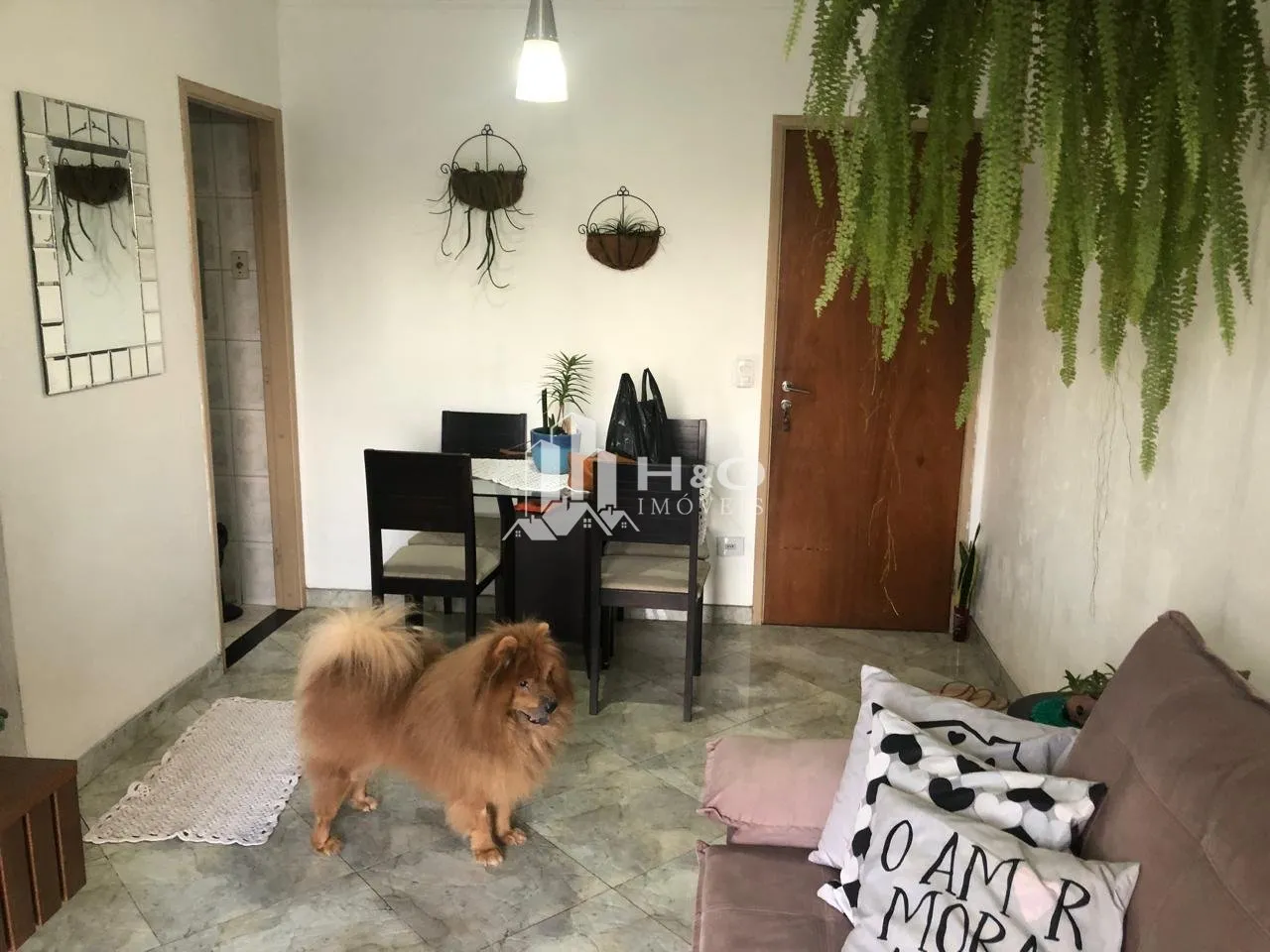 Imagem Excelente apartamento à venda na Vila Carmosina - ótima localização