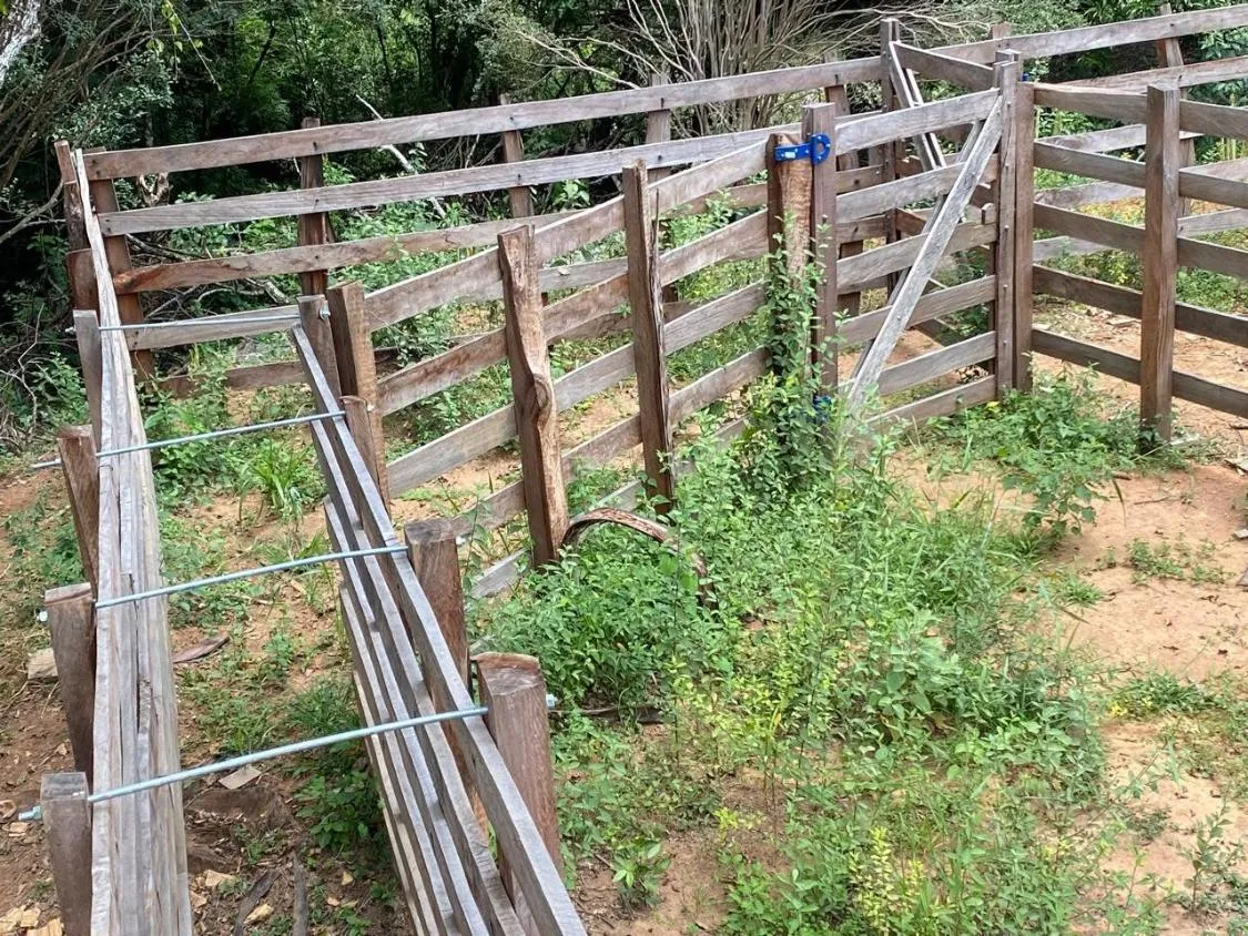 Imagem Vendo uma ótima chácara em Itaguara/MG com 23.000 m²