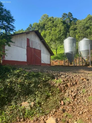 Imagem Área para Venda em Cordilheira Alta, Interior, 3 dormitórios, 1 banheiro, 2 vagas