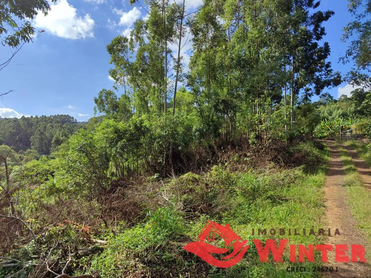 Imagem Área de terras com 3.000m² próprio para um chácara.