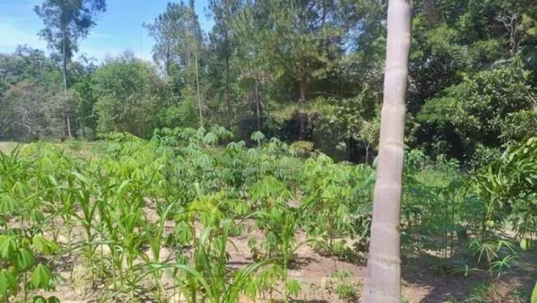 Imagem CH0359 - Chacara a venda em Bofete - aceito permuta Botucatu