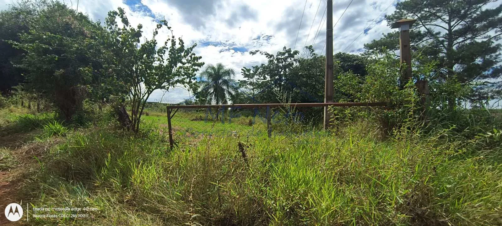 Imagem Terreno Padrão