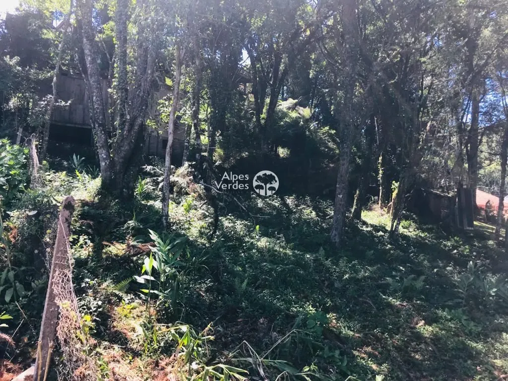 Imagem Terreno à venda, 840 m2 por R$ 419.999 - Palace Hotel - Canela/RS