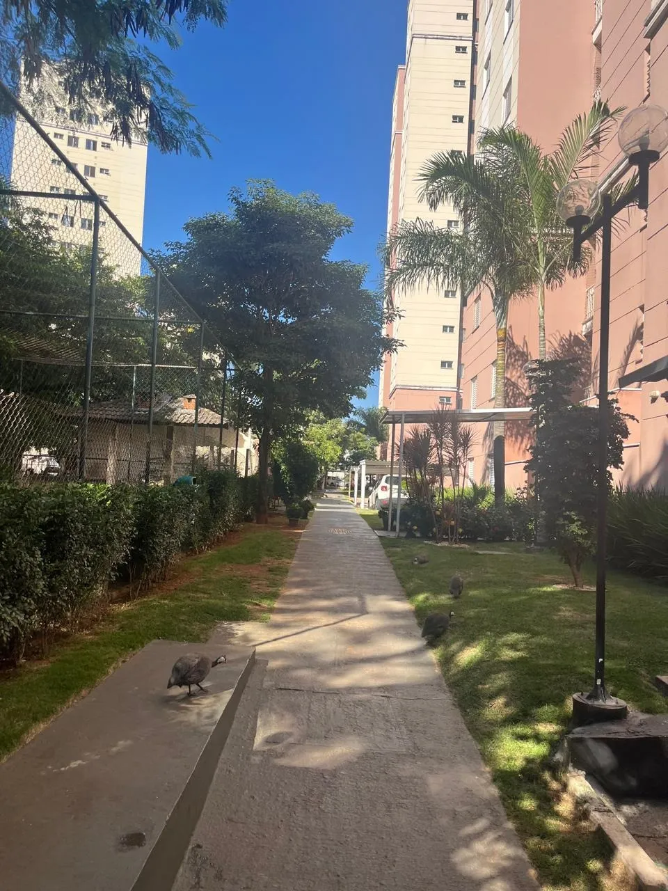 Foto do imóvel Apartamento com 2 quartos à Venda, Vila Odim Antão - Sorocaba em VILA ODIM ANTÃO, SOROCABA - SP