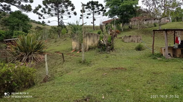 Imagem Sítio Joanópolis 11 alqueires pasto riacho escritura!!