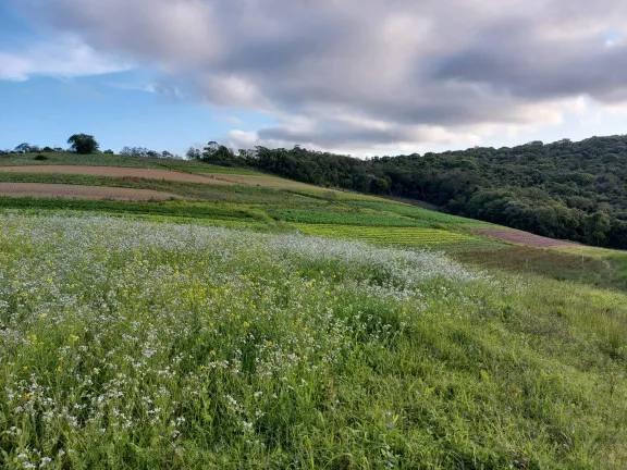 Imagem Terreno à Venda, 1.000 m² em Centro - Cotia