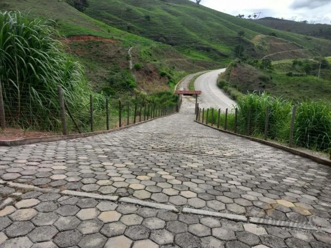 Imagem FAZENDA À VENDA Antônio Dias 48 hectares de terra