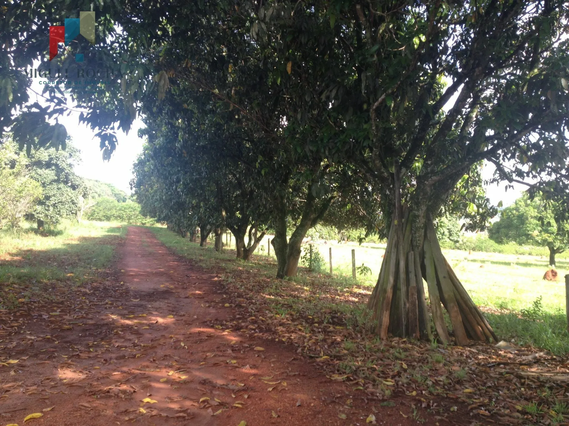 Foto do imóvel Sítio à venda em Mirandas, Tatuí - SP