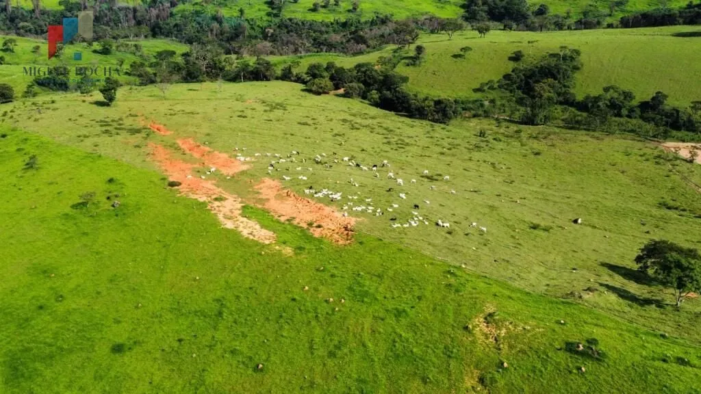 Imagem Fazenda região de Itapira SP