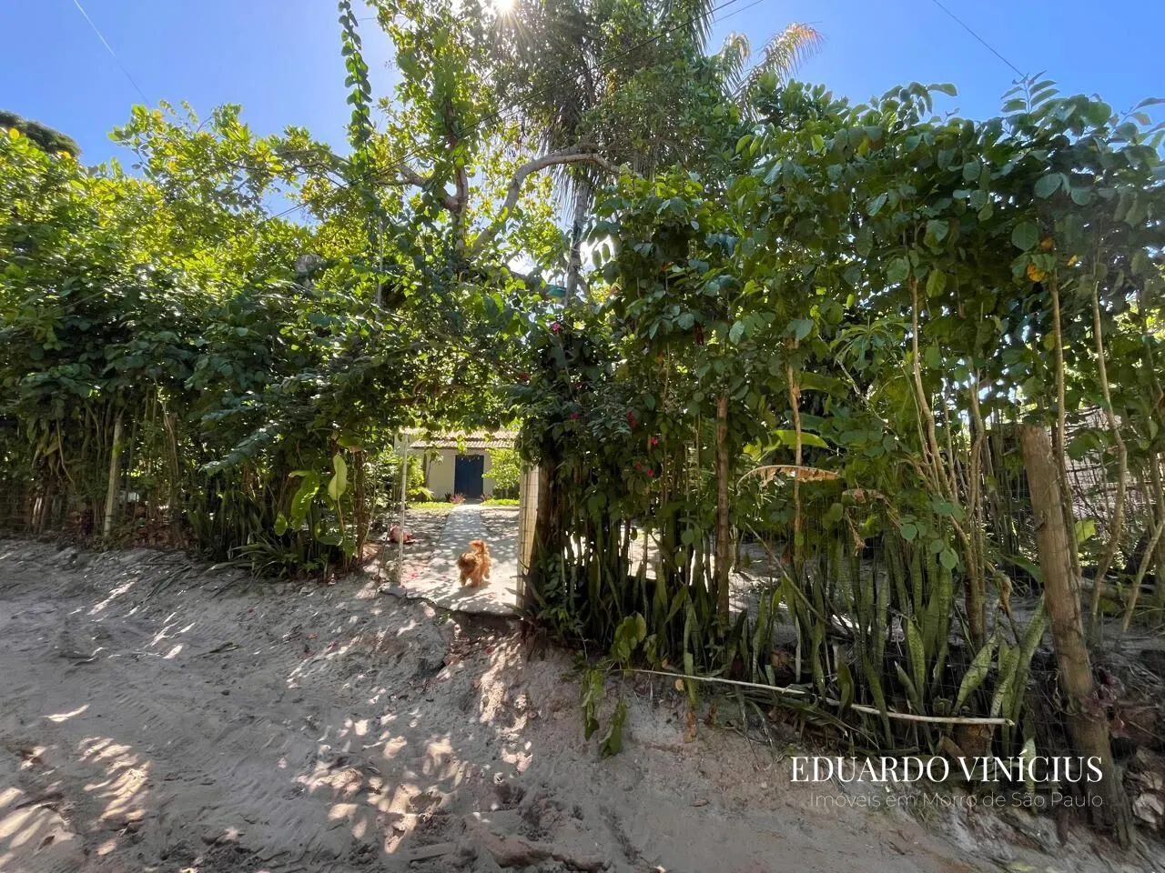 Imagem Vila do Coco - Casa com 2 Dormitórios à Venda na Quarta Praia do Morro de São Paulo