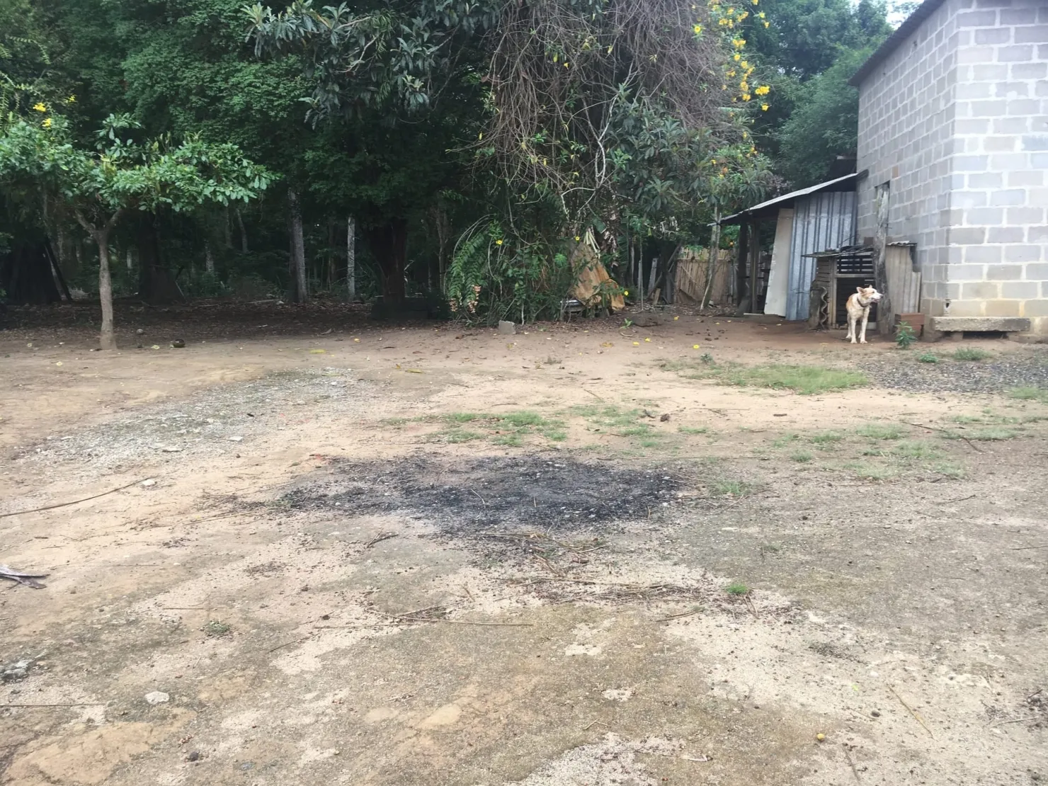 Imagem Terreno à venda 9 Quartos, 29773.51M², Bela Vista, Pindamonhangaba - SP