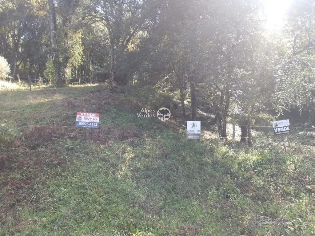 Imagem Terreno à Venda em Santa Terezinha, Canela - RS