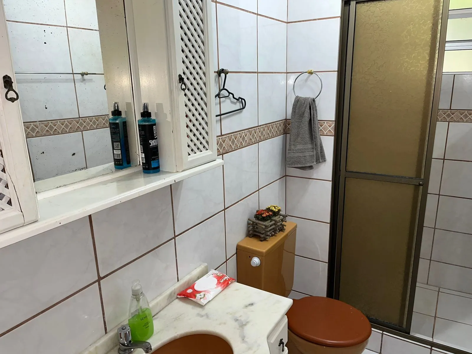 Imagem Apartamento em Nonoai
