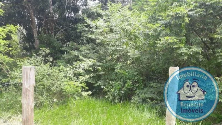 Imagem Vendo excelentes terrenos no centro de Trancoso, litoral da Bahia.