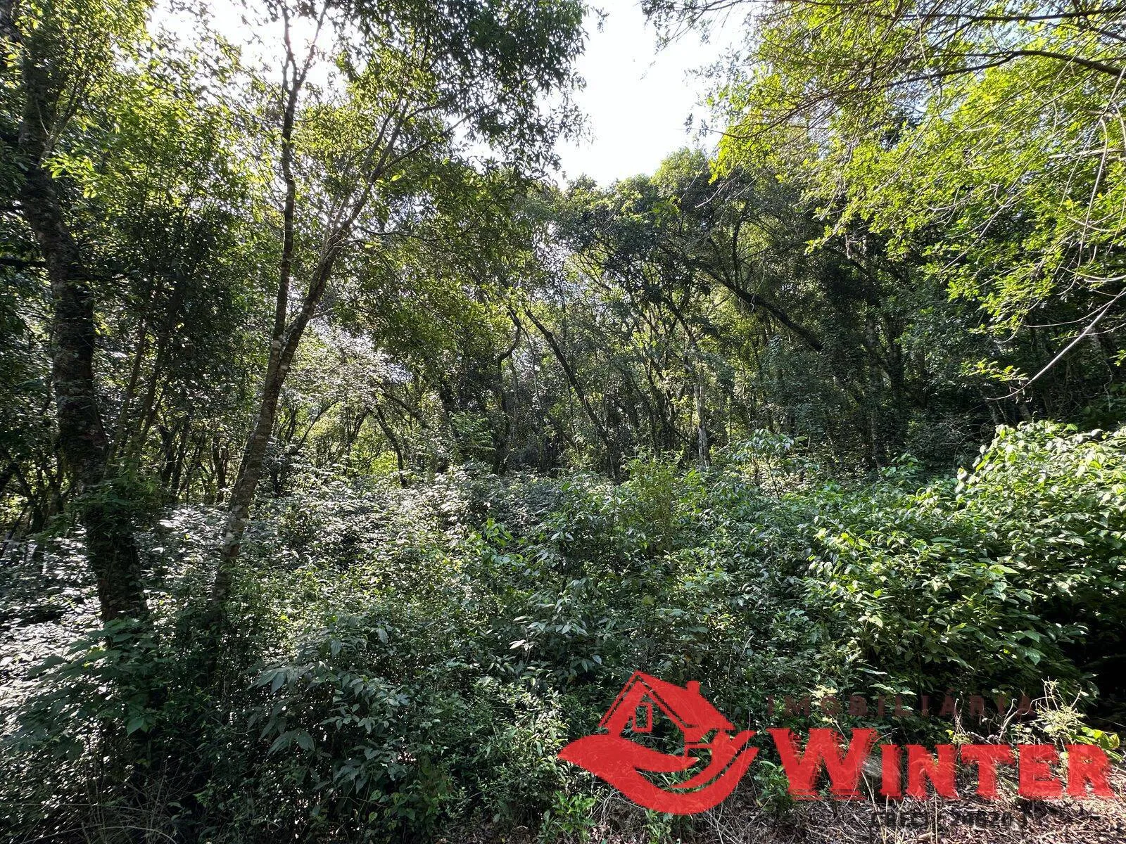 Imagem Área com 2162 m2 em São Vendelino