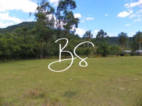 Imagem SITIO RURAL em NOVA PETRÓPOLIS - RS, Linha Temerária