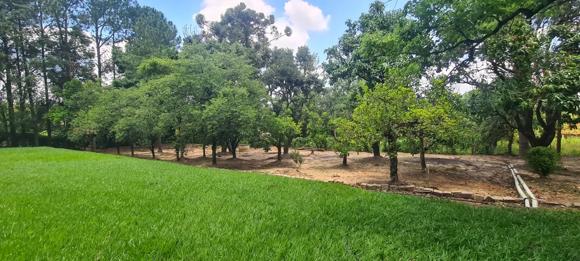 Foto do imóvel: Chácara com 3 Quartos à Venda, 367 m² em Área Rural de Cesário Lange - Cesário Lange