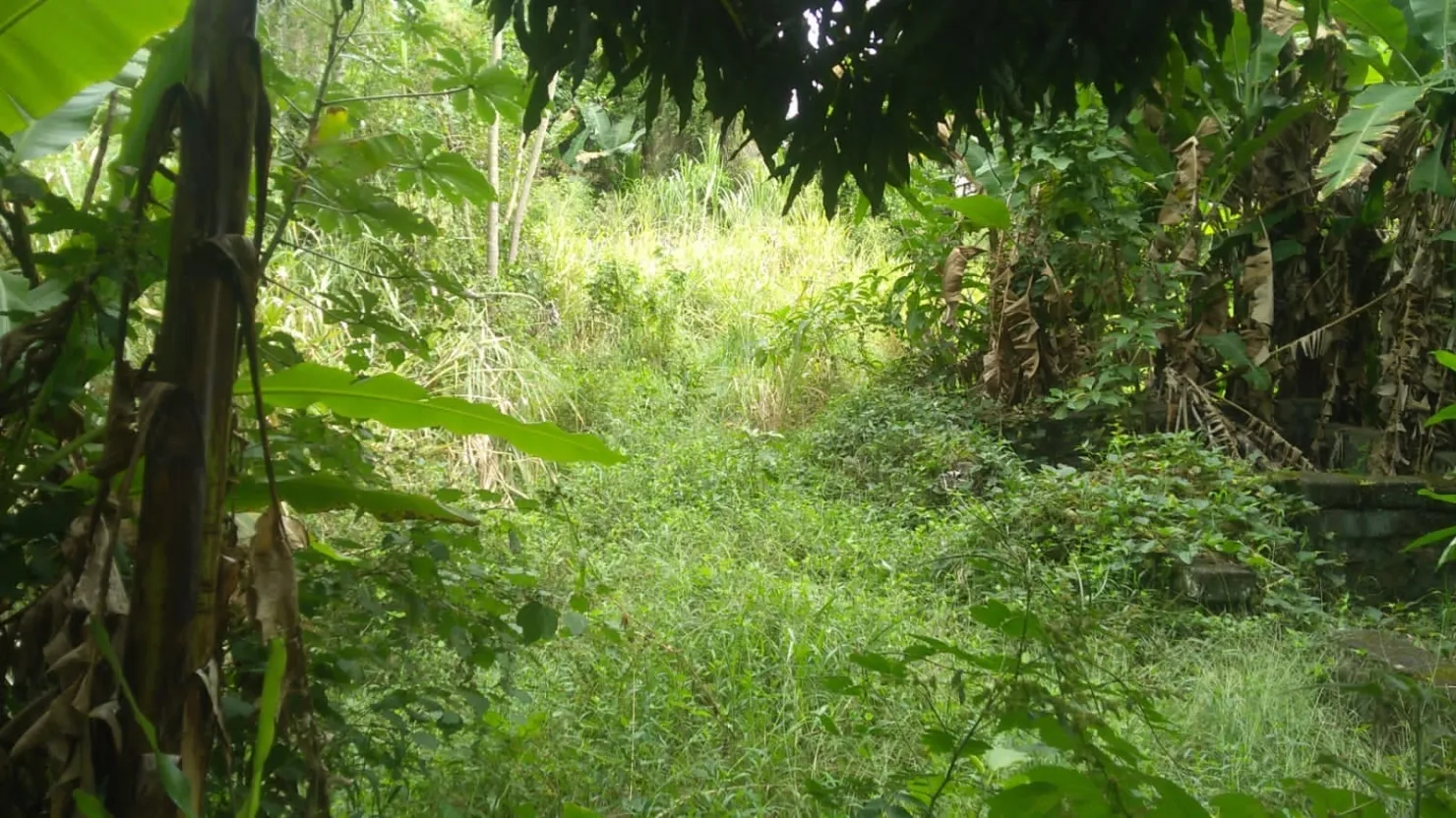 Imagem Terreno à venda 6866M², Crispim, Pindamonhangaba - SP