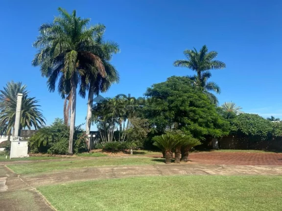 Imagem Casas / Alto Padrão na cidade de Birigui