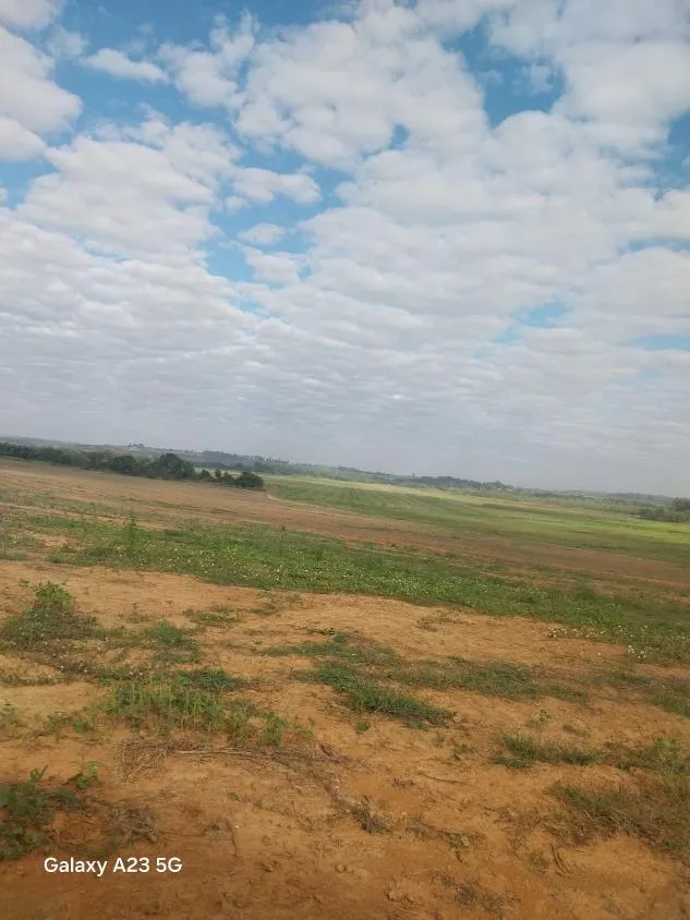 Imagem Vendo excelente fazenda em Lagoa da Prata/MG 376 hectares de terra