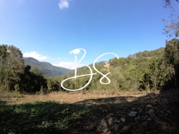 Imagem SITIO RURAL em NOVA PETRÓPOLIS - RS, Linha Pirajá Baixa