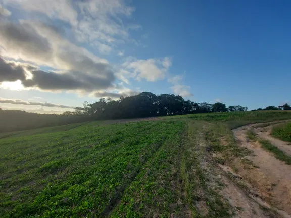 Imagem Terreno à Venda, 1.000 m² em Centro - Cotia