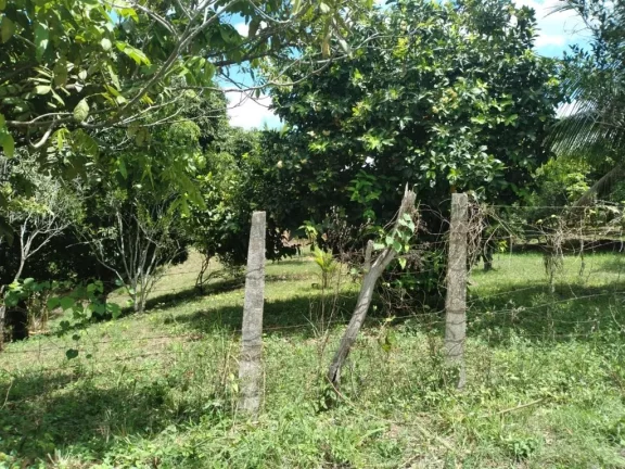 Imagem Terreno de 3000m² à venda, localizado em Chã de Onça, Paudalho - Pernambuco.