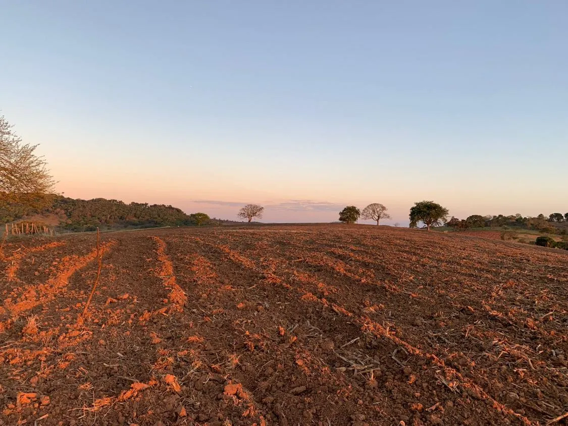 Imagem Vendo uma magnífica fazenda em Santo Antônio do Amparo/MG 318 hectares