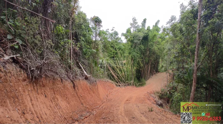 Imagem Terreno para sítio a venda, em Major Gercino, 900Metro da SC 108, 200Metros de estrada de barro. Terraplanagem pronta para construir