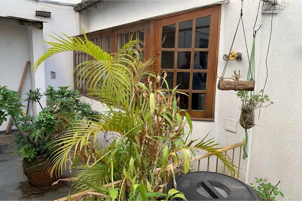 Imagem IM 49 Casa 601971014-234 - IM 49 Casa 601971014-234